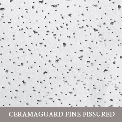 ceramaguard_fine_fissured